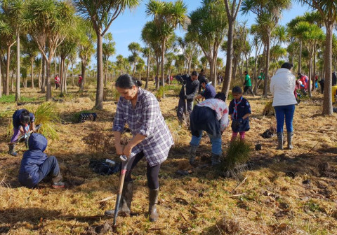 community planting2 1
