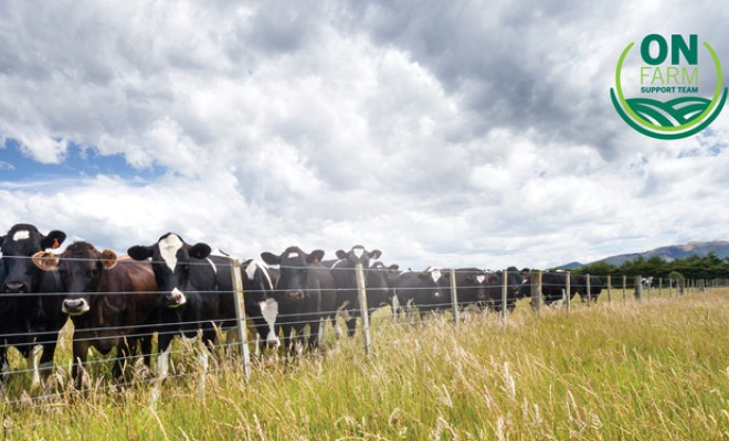 2022 Teams Background On Farm Support Team2