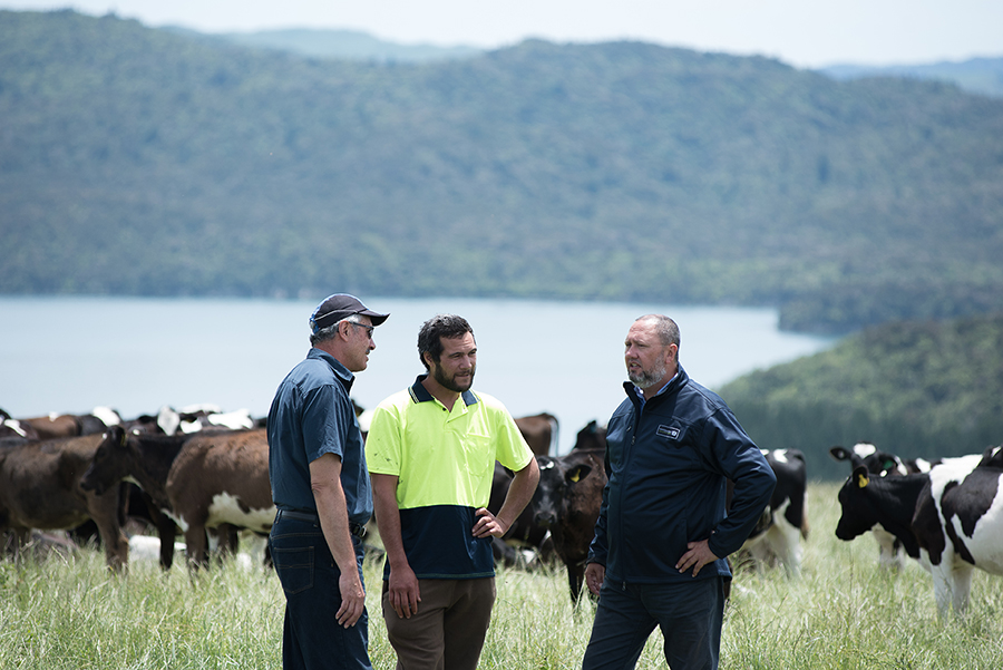 Three men talking on a hill farm. Cows are behind them and there is a lake in the background.