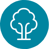 Prosperity icon with a tree drawing