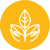 Protection icon with drawing of hands holding a plant