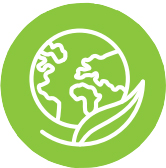 Sustainability icon with a globe drawing
