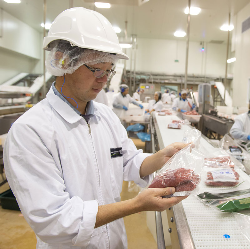 A man in a white coat, wearing a white helmet and working in a meat plant, inspects a plastic bag with meat in it.