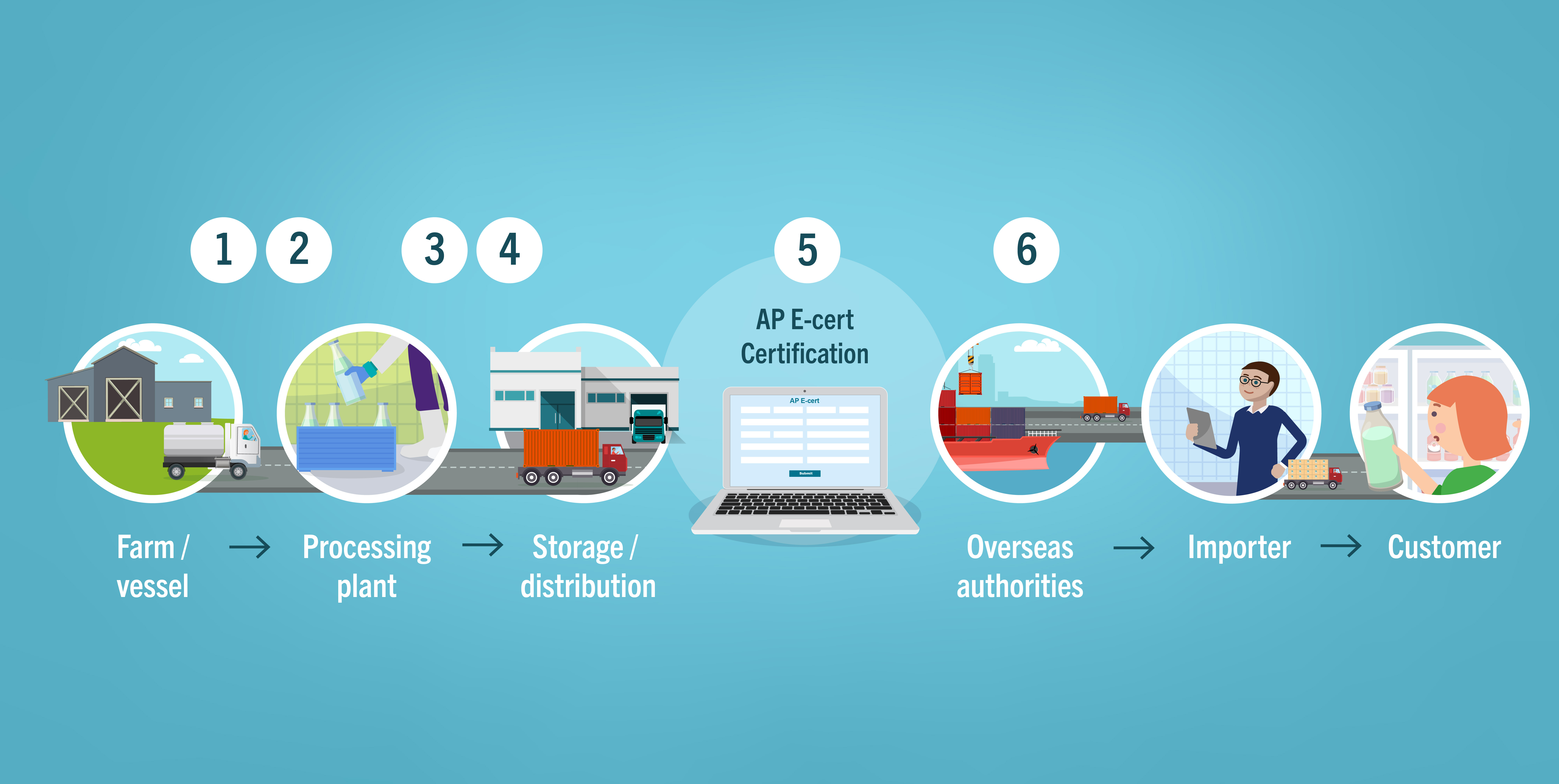 A diagram shows the six phases of the export supply chain. A product moves from a farm or vessel, to a processing plant, to storage or distribution. It then gains AP E-cert certification, and moves on to the overseas authority. From there the product travels to the importer and then to the customer.