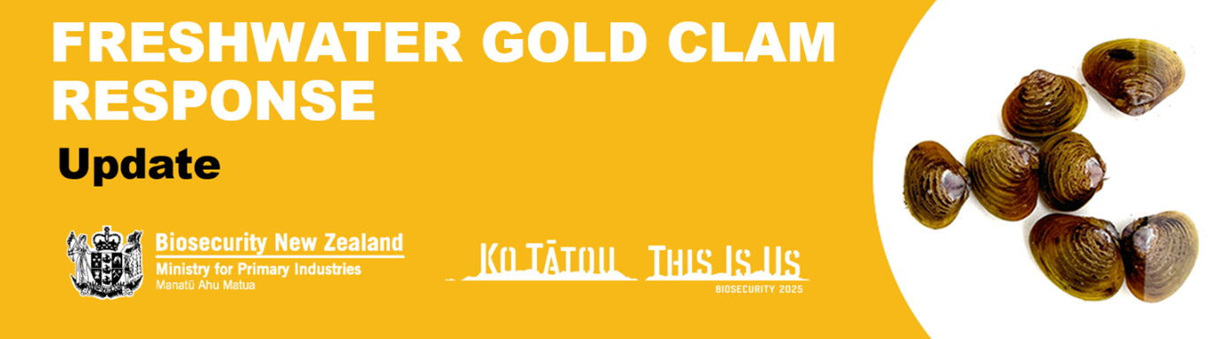 Yellow banner with white text: freshwater goldclam response update