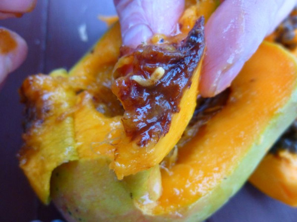 The inside orange and brown flesh of a papaya fruit with a white fruit fly larvae that looks simlar to a long grain of rice.