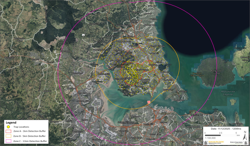 Auckland map with dense network of traps marked by yellow dots. Zone A centers around Glenfield and Birkdale.