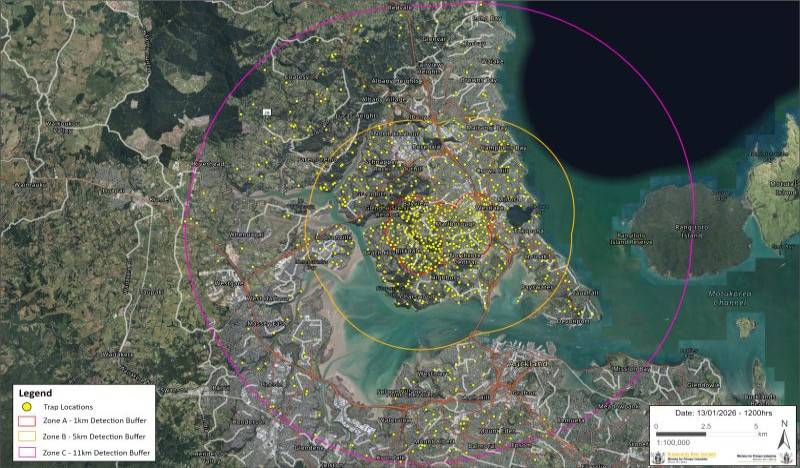 Auckland map with dense network of traps marked by yellow dots. Zone A centers around Glenfield and Birkdale.