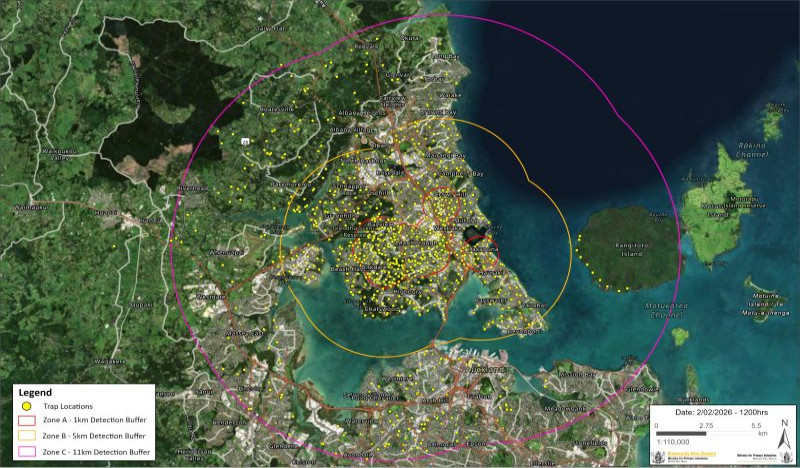 Auckland map with dense network of traps marked by yellow dots. Zone A centers around Glenfield and Birkdale.