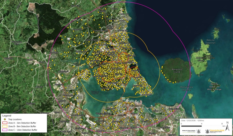 Auckland map with dense network of traps marked by yellow dots. Zone A centers around Glenfield and Birkdale.