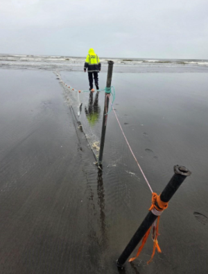 Illegal set net on the beach recovered by a fishery officer