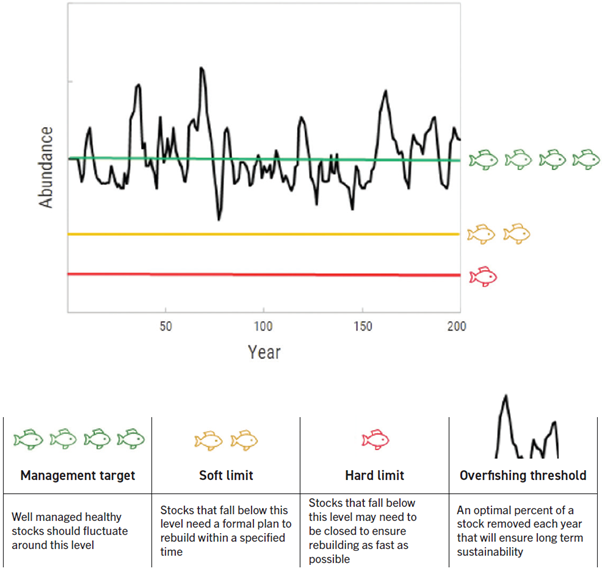 Stock status graph showing the fluctuations in stock size over time (years) and the relationship between the management target and the soft and the hard limits for a stock that is fished perfectly at an optimal constant rate.