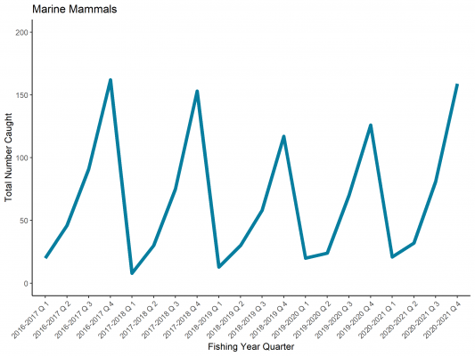 marine mammals marine mammals