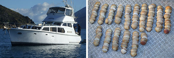 10.8 launch forfeited to the Crown, and 133 undersize scallops