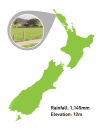 northland image
