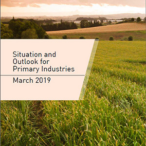 2019 SOPI March 300x424