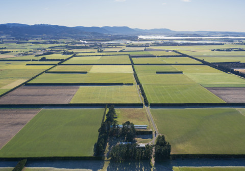 Aerial view of farmland