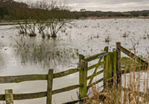 200x190 flood
