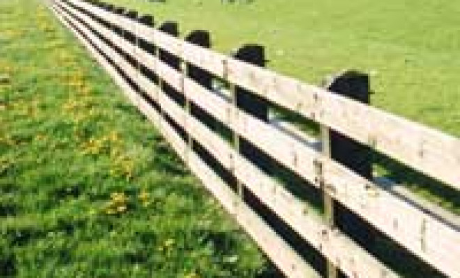 fence along sheep pasture