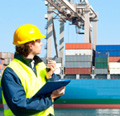 Import Health Standards
