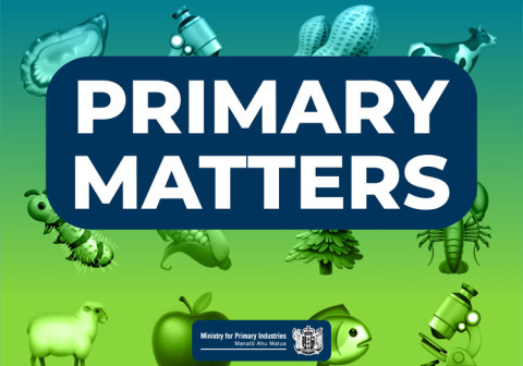 Primary Matters Podcast logo