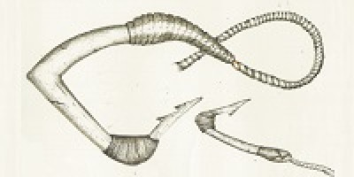 Customary fish hook200x14