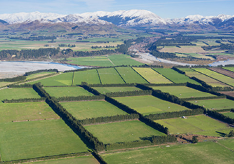 farmland 2