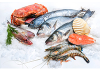 fish, crab, shrimp, salmon and scallop on ice
