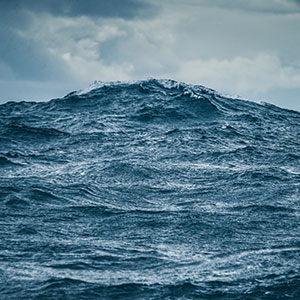 fisheries hometile 300x300