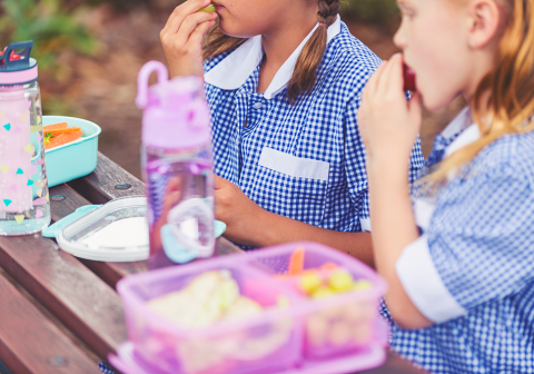 keeping lunch box food safe