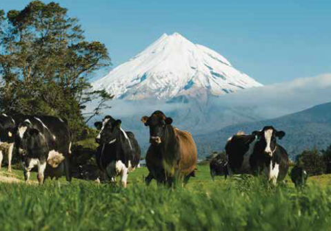 SOPI thumbnail December 2023