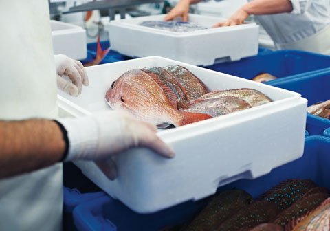 Fish stacked in styrofoam container with ice.