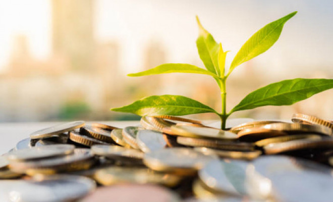 Seedling growing among coins.