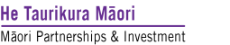 Maori Partnerships and Investment logo 2 line colour te reo