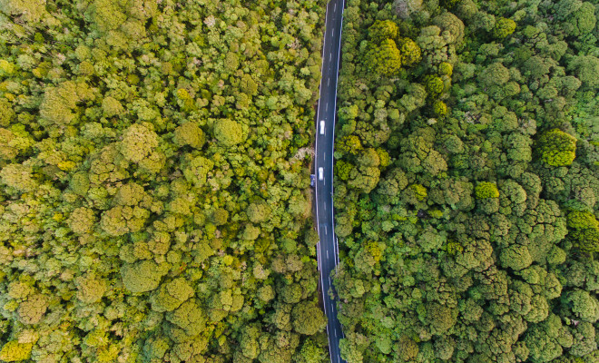 1006002976 forestry aerial road cars