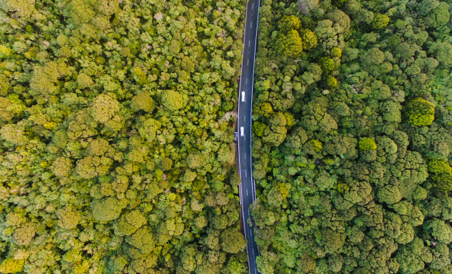 Aerial view of road cutting through dense forest.