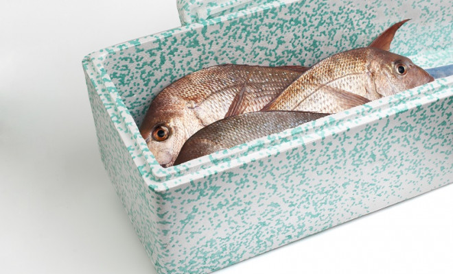 4 Biopolymer Network SnapperBox