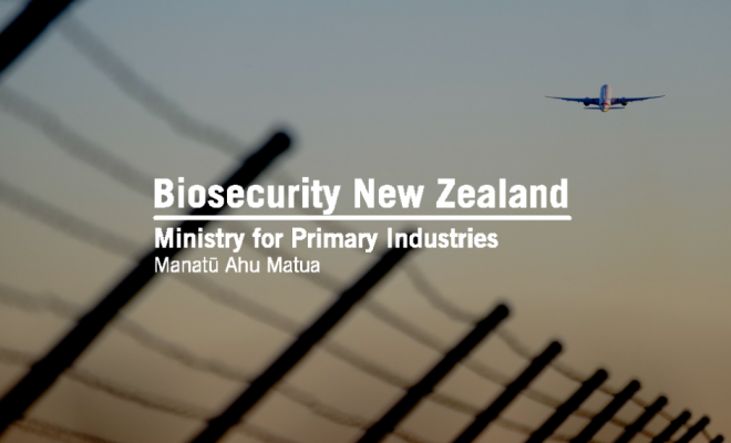 Airplane flying off with Biosecurity New Zealand logo.
