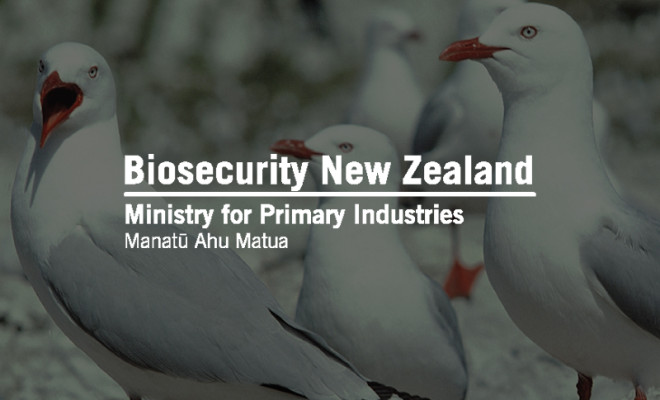 Biosecurity New Zealand logo overlaid on seabirds