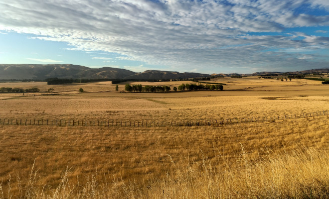 Dry grass field drought