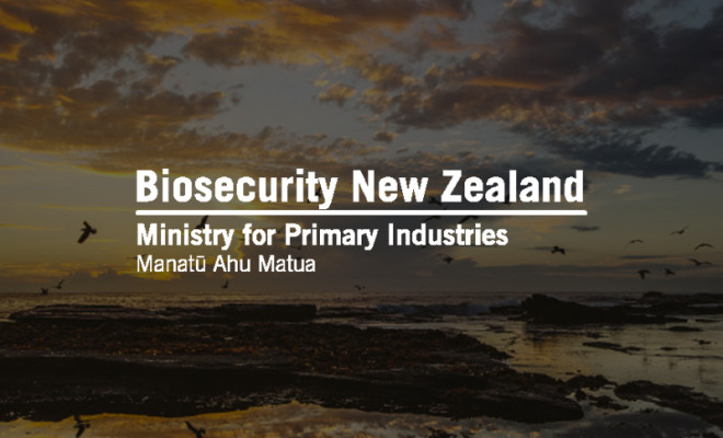 Biosecurity New Zealand logo overlaid on birds flying at sunset.