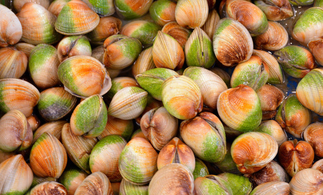 Stack of cockles.